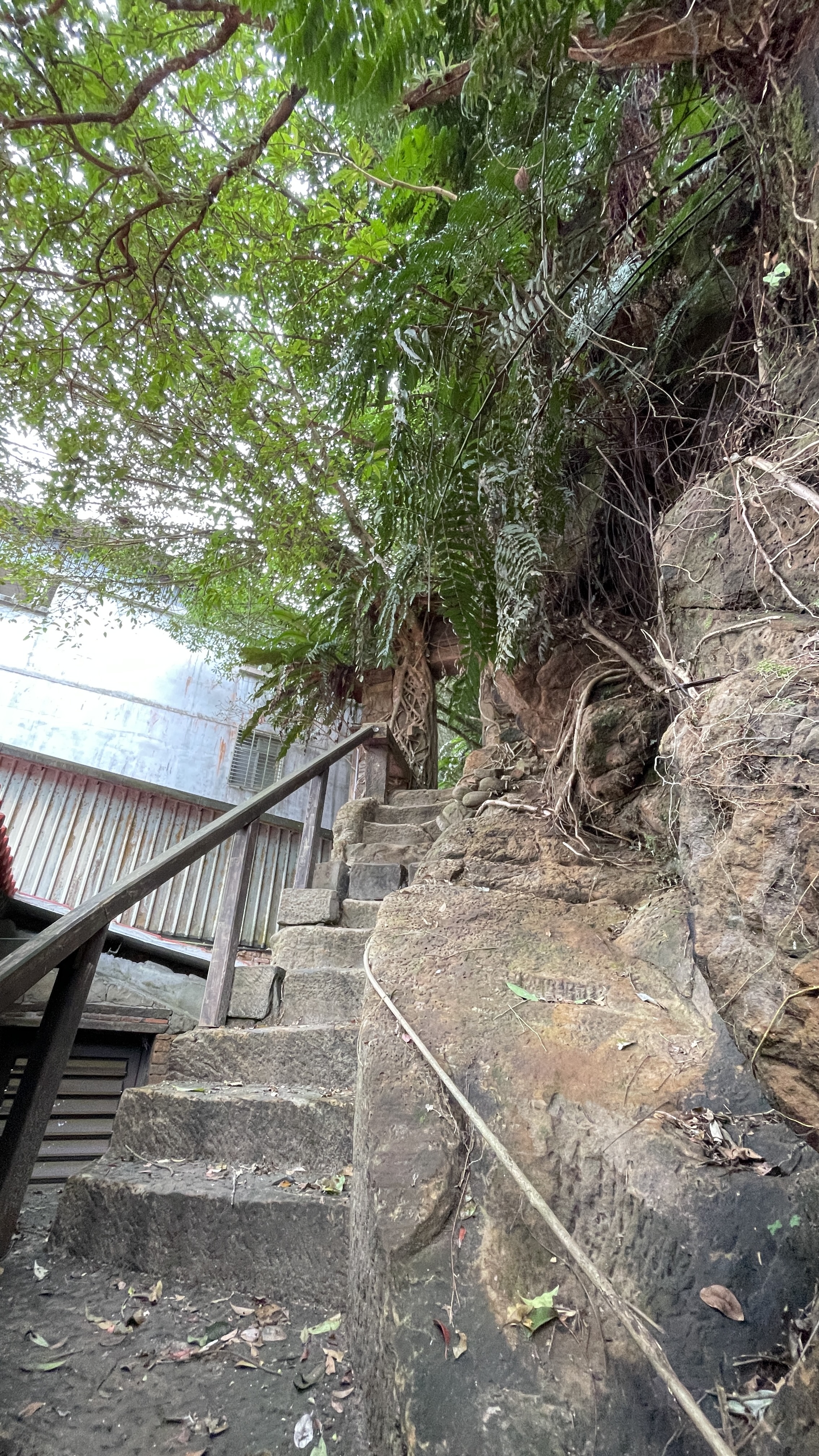 山林風光